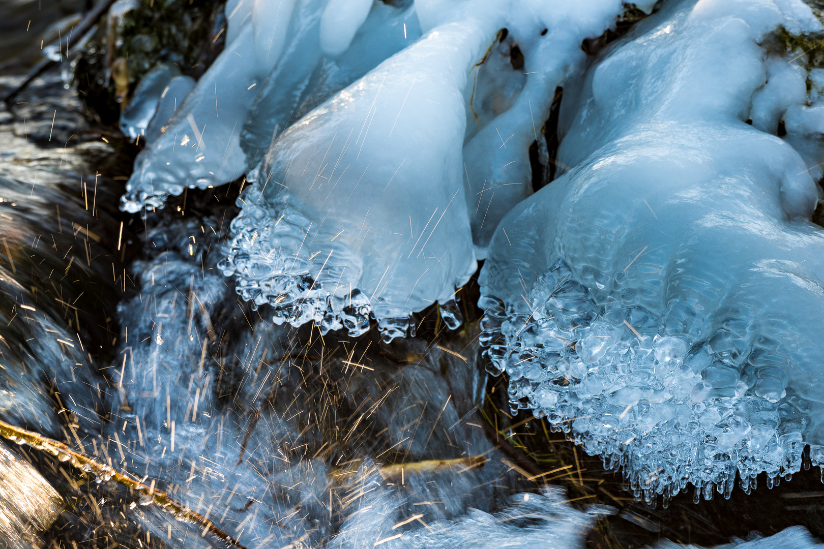 Formen der Natur im Winter