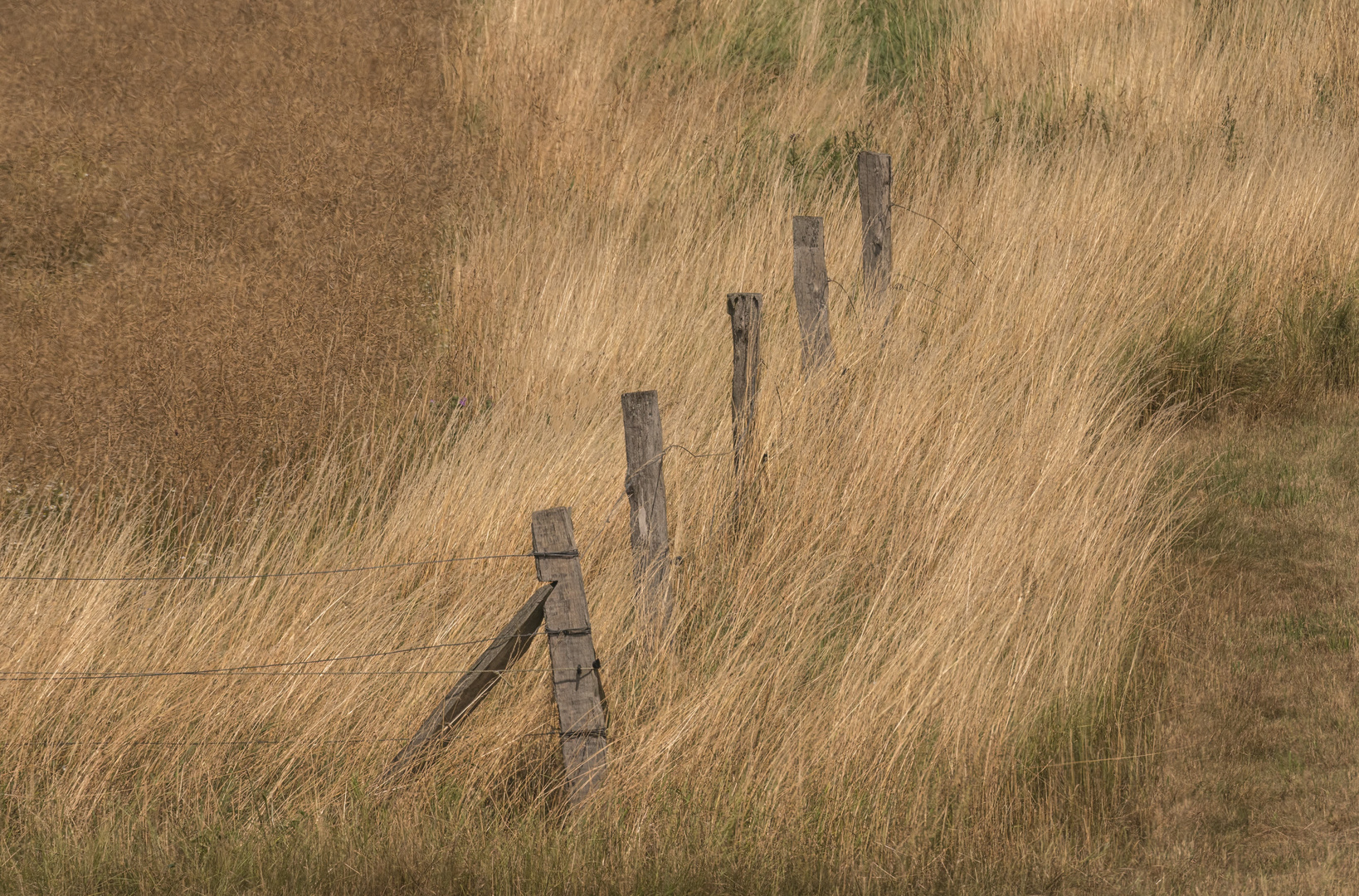 Formen in der Landschaft 