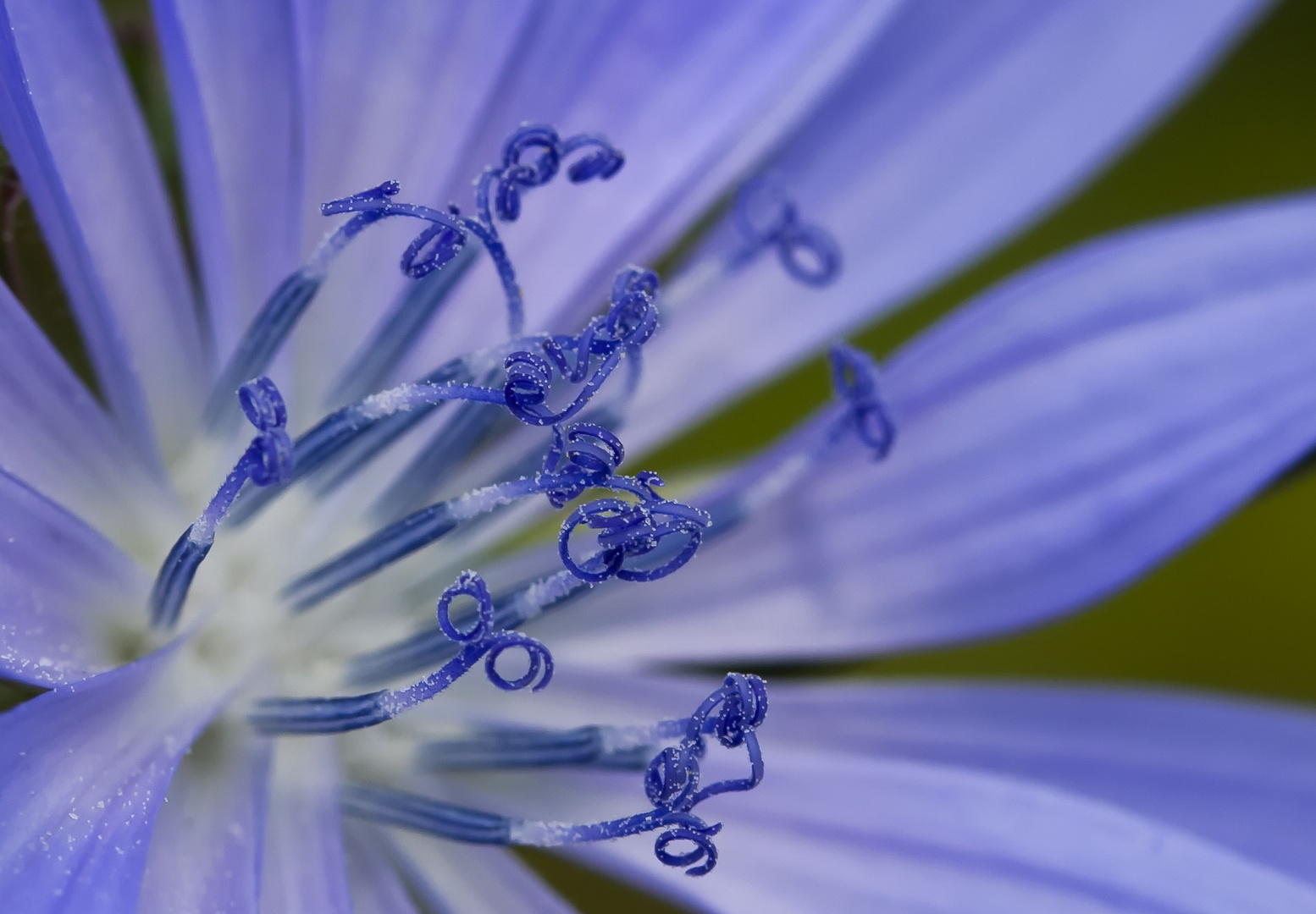 Formen in der Natur