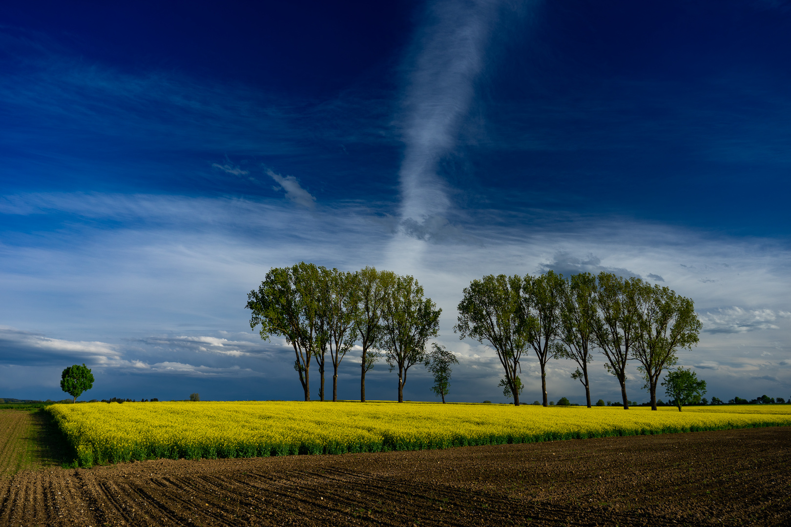 Formen in der Natur