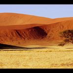 Formen und Farben der Wüste