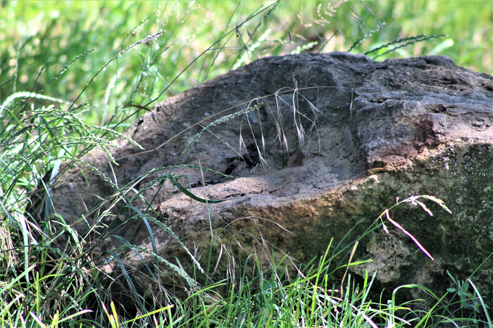 Formen und Materialen  in der Natur 