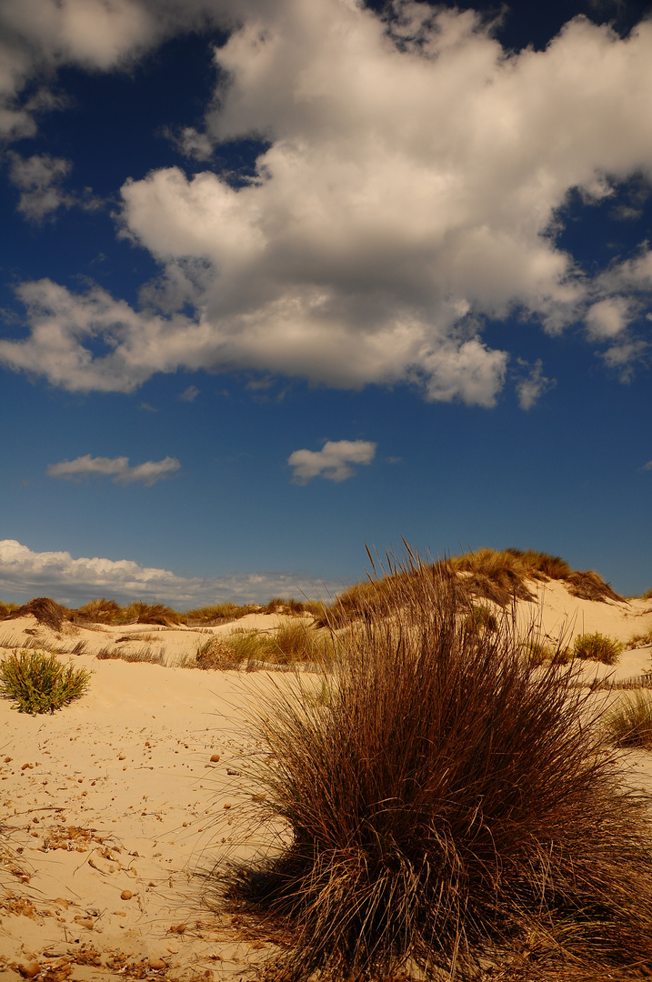 Formentera