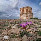 Formentera meine Lieblingsinsel.