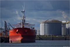 FORMOSA FALCON / Tanker / Rotterdam
