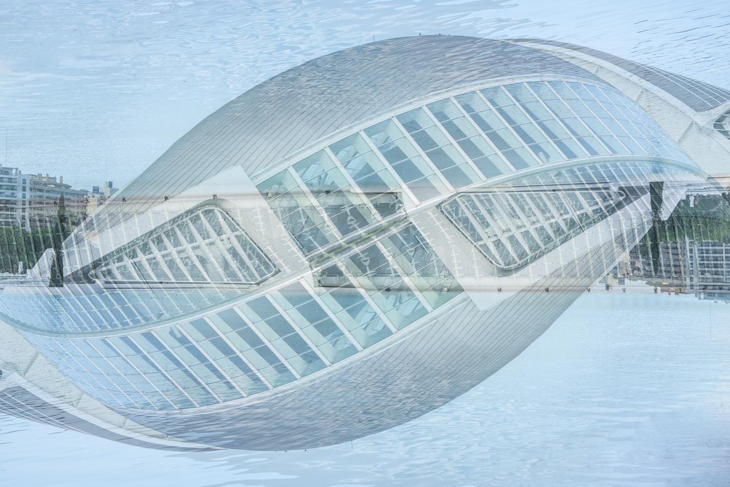 Forms of Calatrava