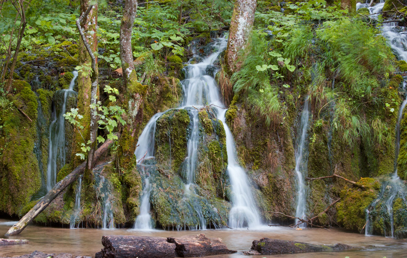 Forms of water