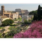 Foro Romano