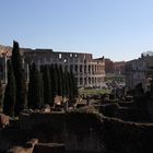 Foro Romano mit Blick aufs Colosseo