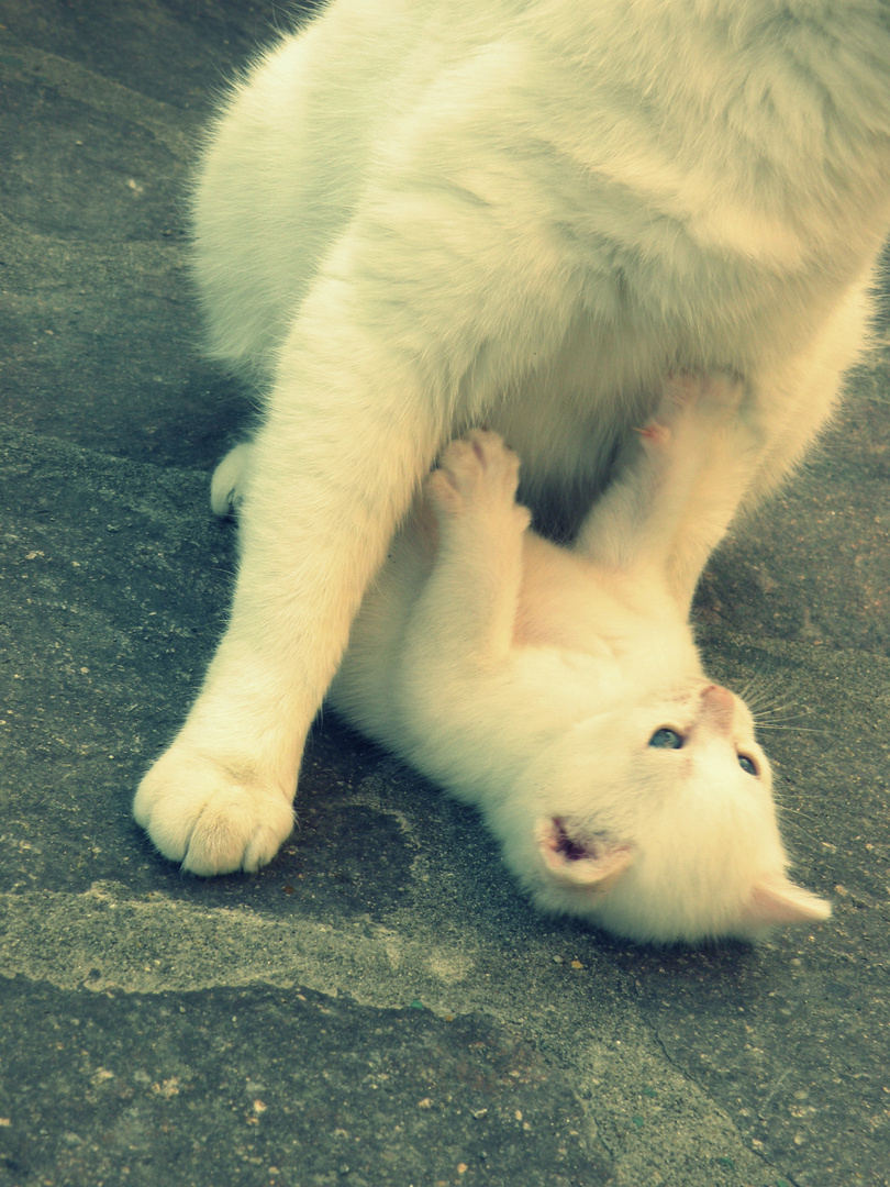 Forrest e mamma Neve