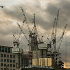 Forrest of Tower Cranes