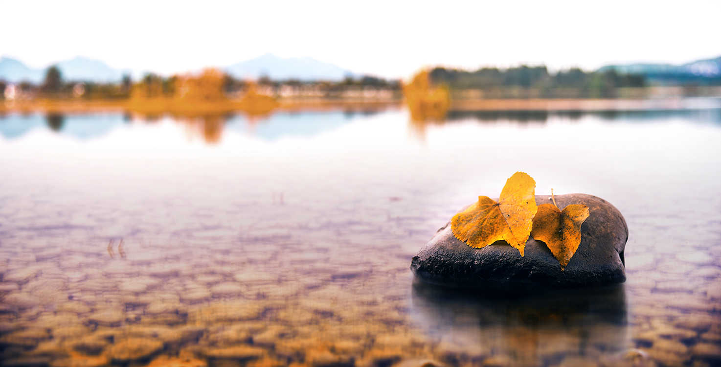 Forrgensee-Herbst