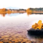 Forrgensee-Herbst