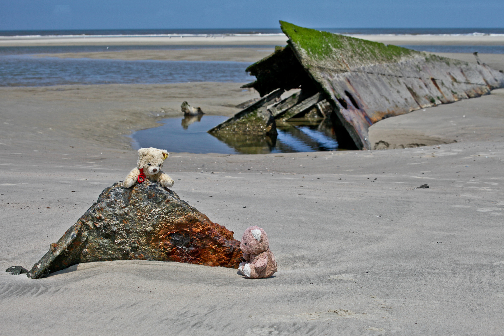 Forscher am Strand