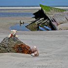 Forscher am Strand