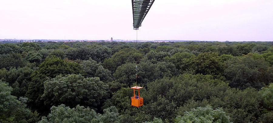 Forscher steigen dem Wald aufs Dach