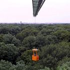 Forscher steigen dem Wald aufs Dach