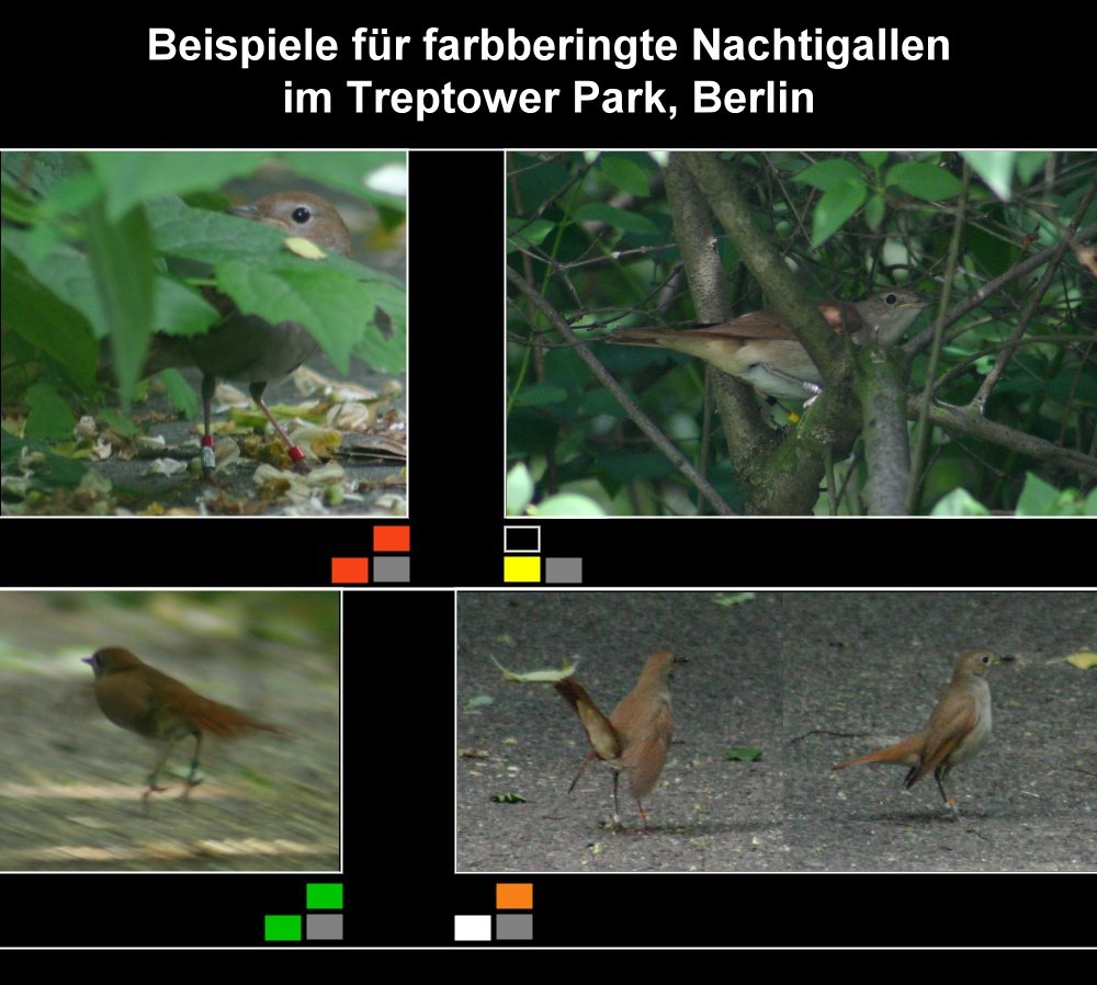 Forschung mitten in der Hauptstadt