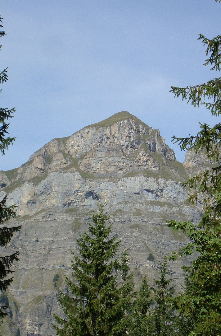 Forstberg von unten