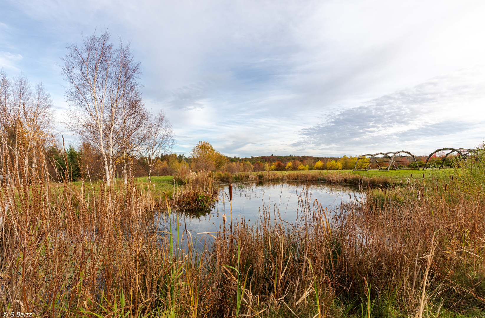 Forstbotanische Garten Tharandt (2)