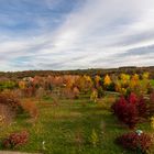 Forstbotanische Garten Tharandt - Goldener Oktober (3) 