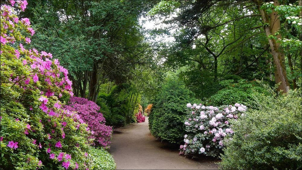 Forstbotanische Landschaften