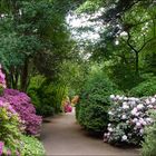 Forstbotanische Landschaften