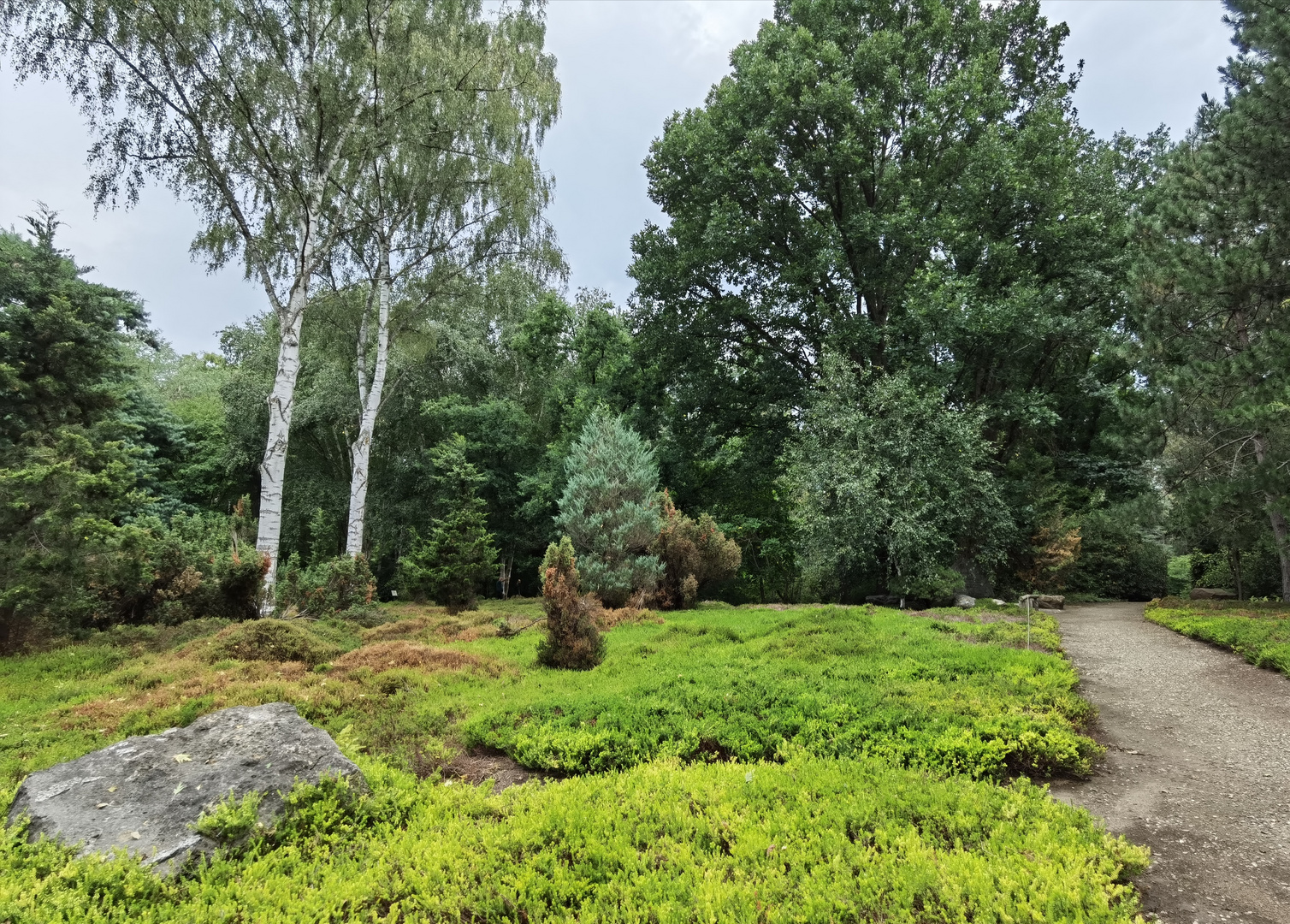 Forstbotanischer Garten Foto & Bild | landschaft, garten ...