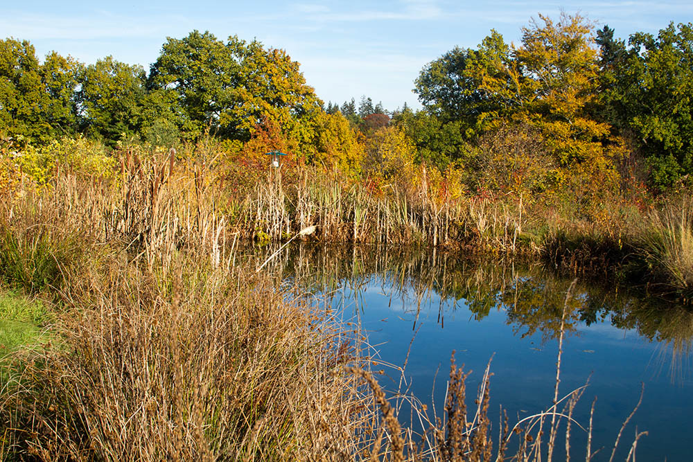 forstbotanischer Garten