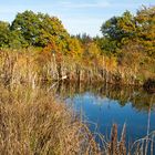 forstbotanischer Garten