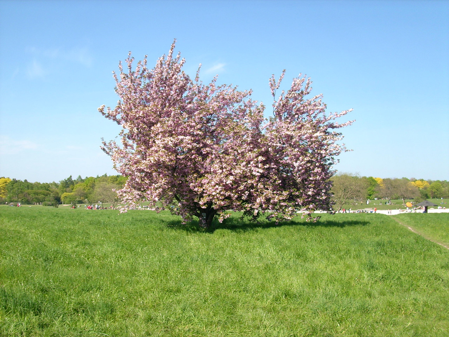 Forstbotanischer Garten