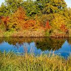 forstbotanischer Garten in Tharandt