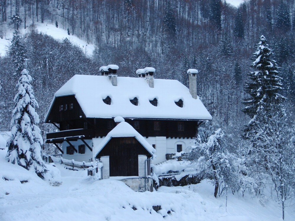 Forsthaus im Winter