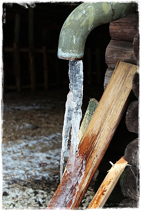 Forsthütte im Wald