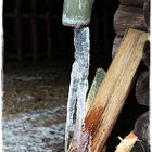 Forsthütte im Wald