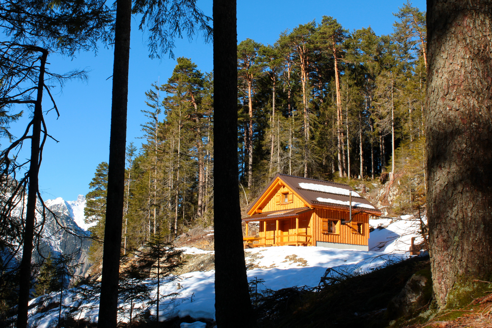 Forsthütte Riggwald, Bristen