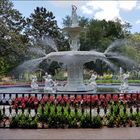 Forsyth Park 