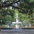 Forsyth Park Fountain