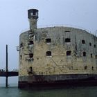 fort boyard