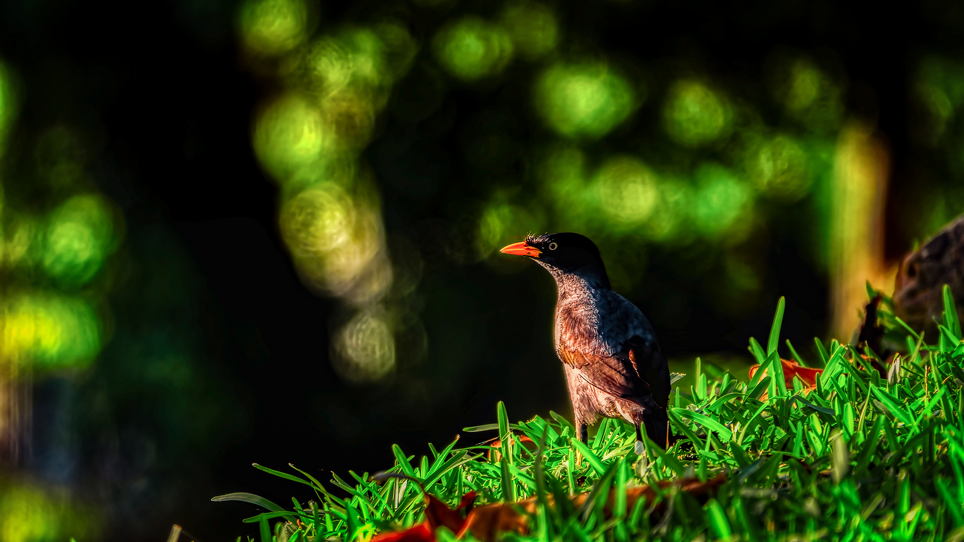 Fort Canning Service Reservoir (III)