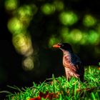 Fort Canning Service Reservoir (III)