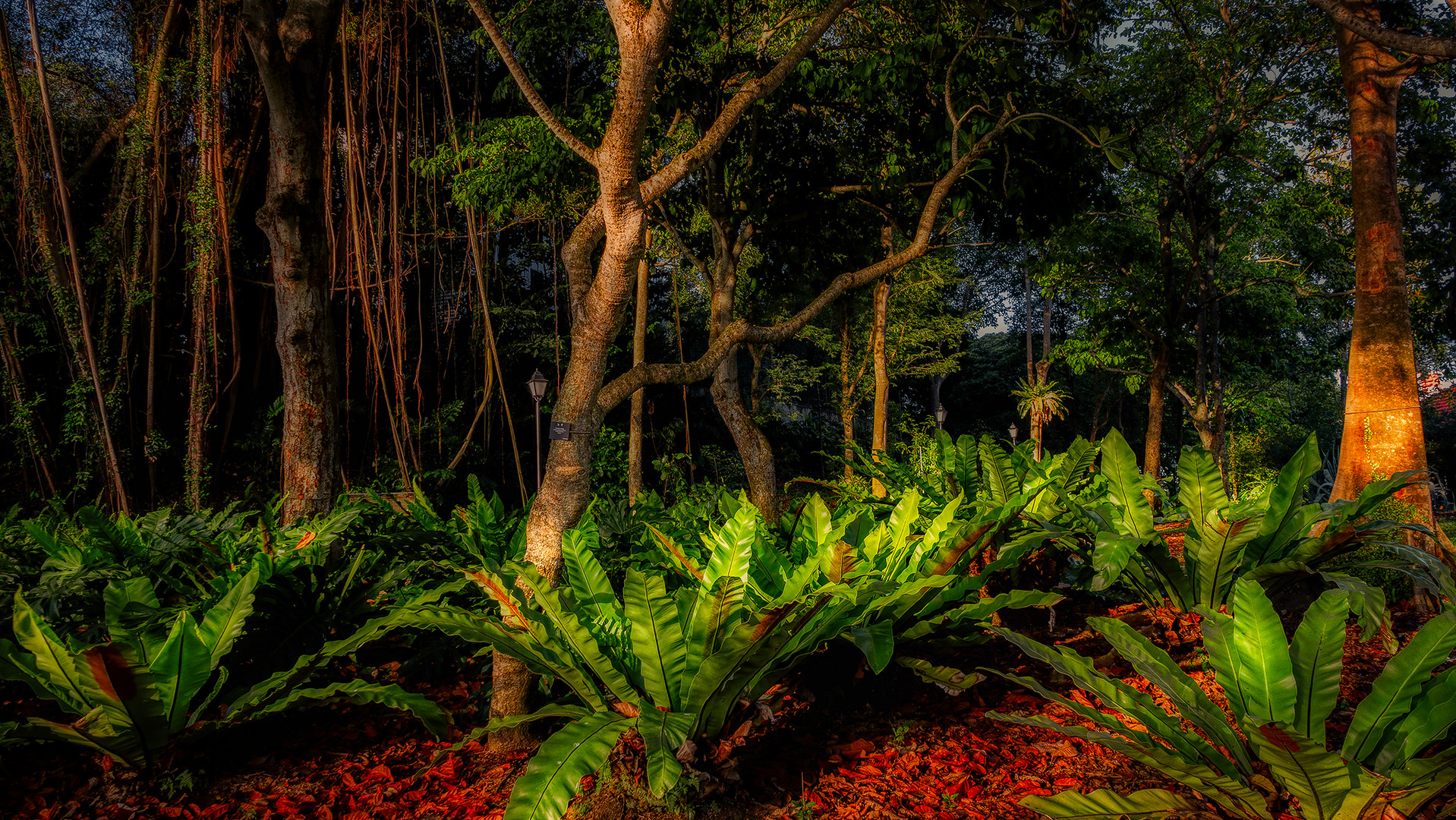 Fort Canning Service Reservoir (IV)