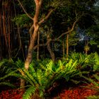 Fort Canning Service Reservoir (IV)