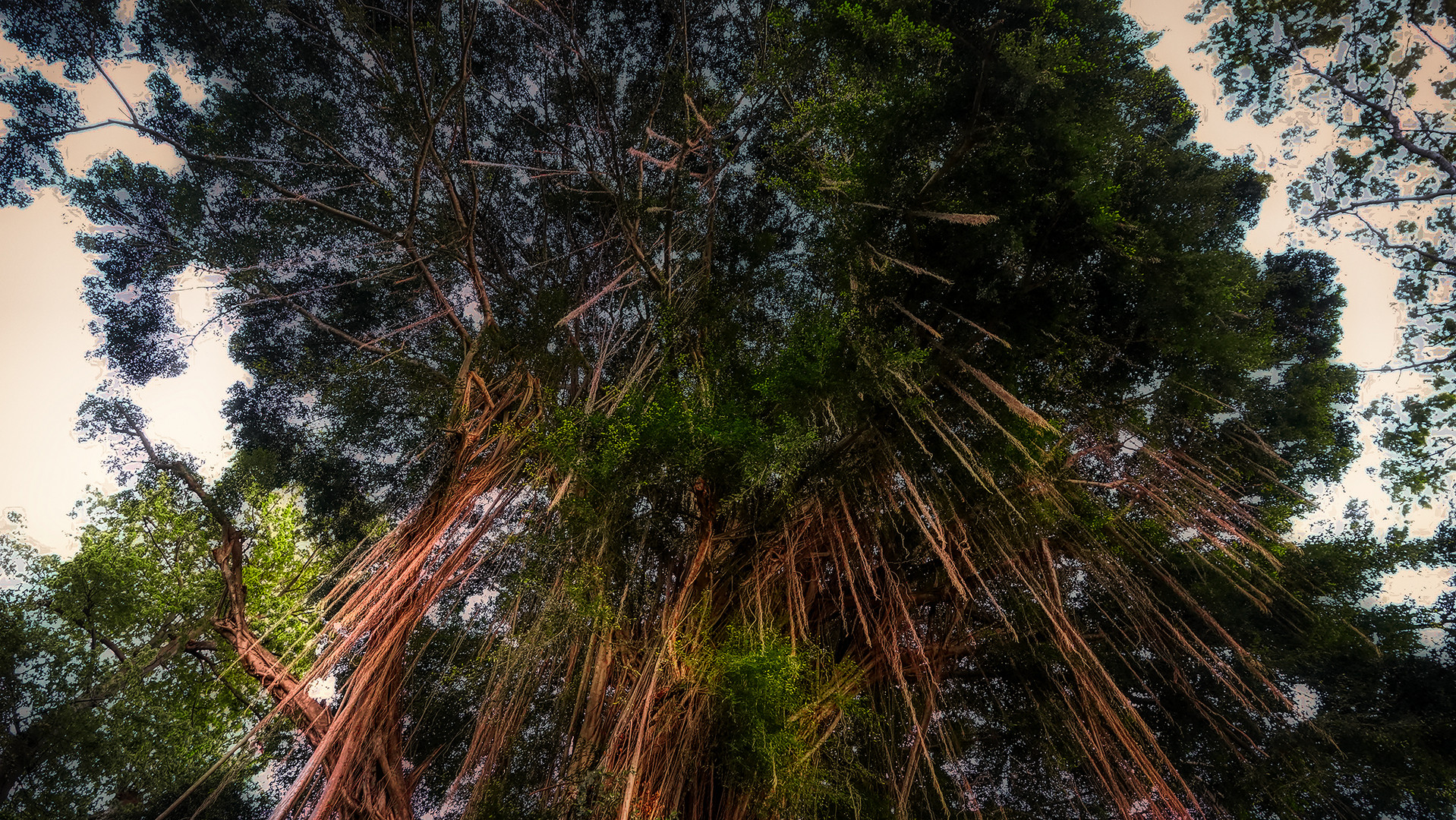 Fort Canning Service Reservoir XIV Fort Canning Service Reservoir (XIII