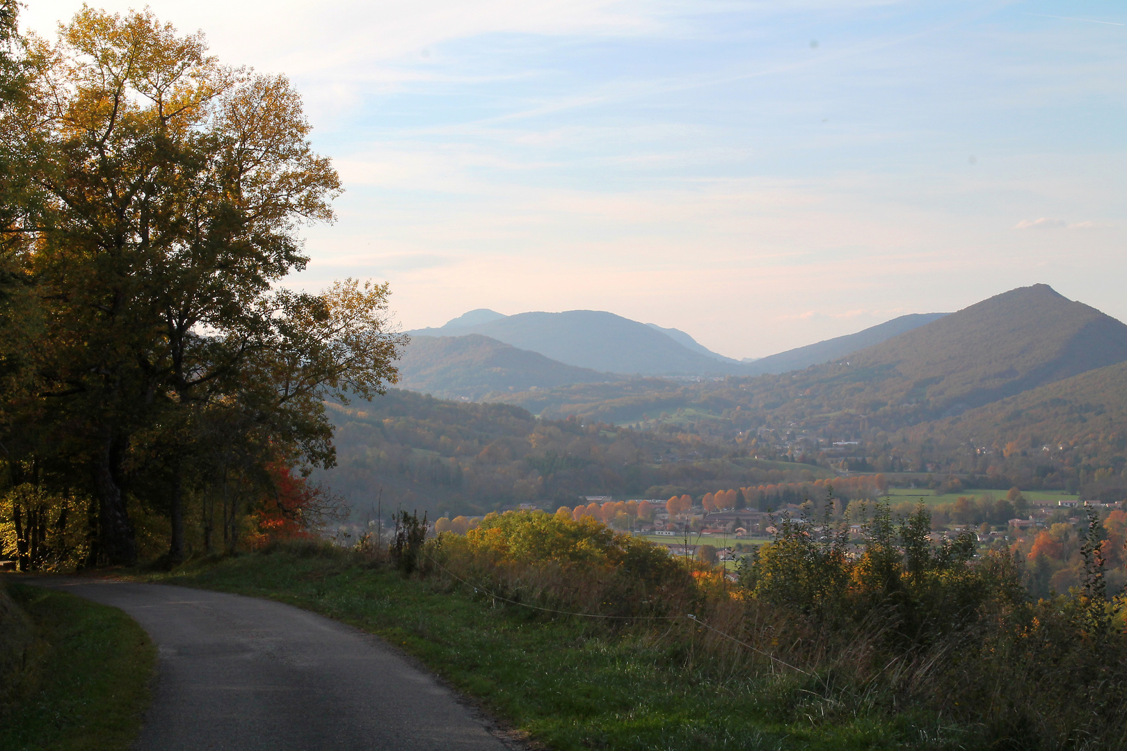 Forêt de Bélesta