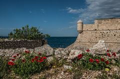 Fort de Bouc