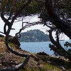 Fort de Brégançon-Bormes les Mimosas-Var