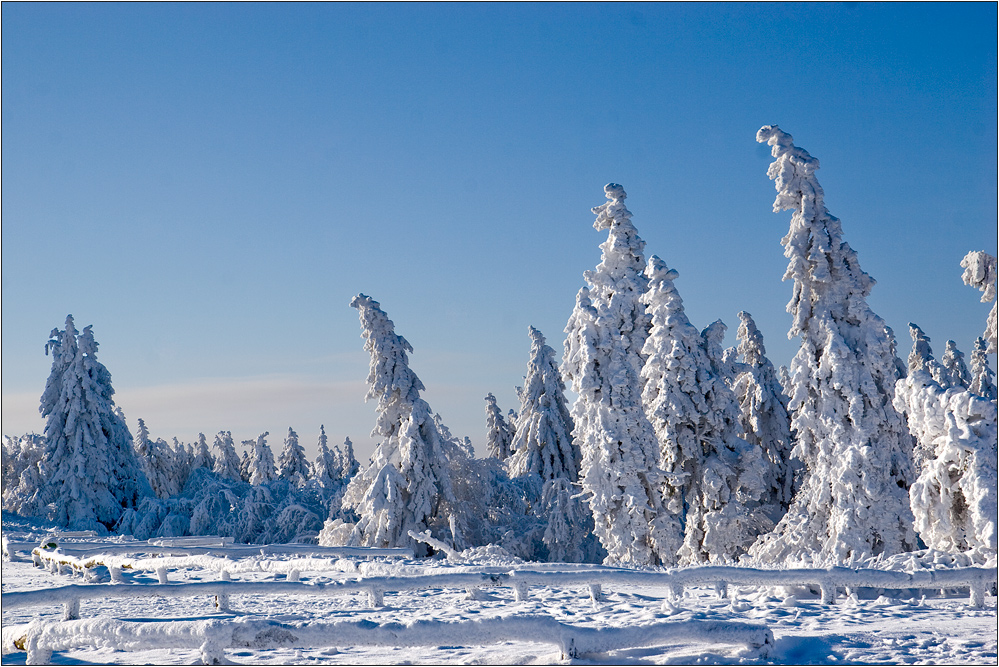 Forêt de conte au 2ème Avent    -     Märchenwald zum 2. Advent