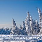 Forêt de conte au 2ème Avent    -     Märchenwald zum 2. Advent