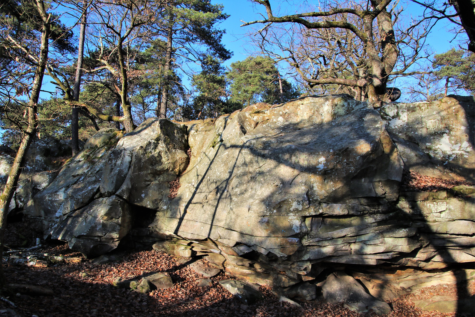 Forêt de Fontainebleau